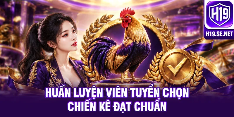 Huấn luyện viên tuyển chọn chiến kê đạt chuẩn