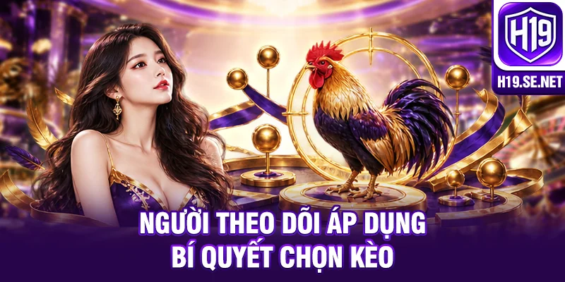 Người theo dõi áp dụng bí quyết chọn kèo