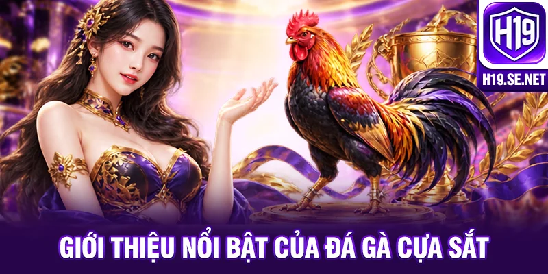 Giới thiệu nổi bật của đá gà cựa sắt