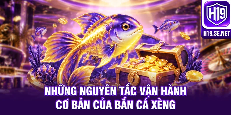 Những nguyên tắc vận hành cơ bản của bắn cá xèng